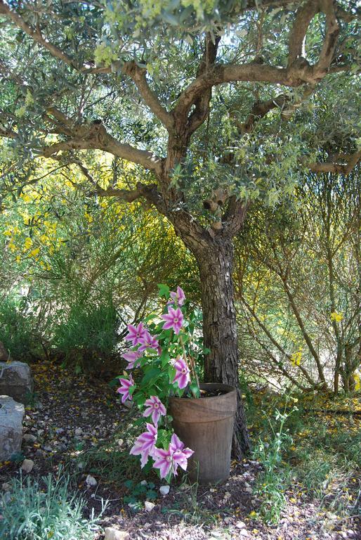 Mas De Carabelle Bed & Breakfast La Roque-Alric Dış mekan fotoğraf