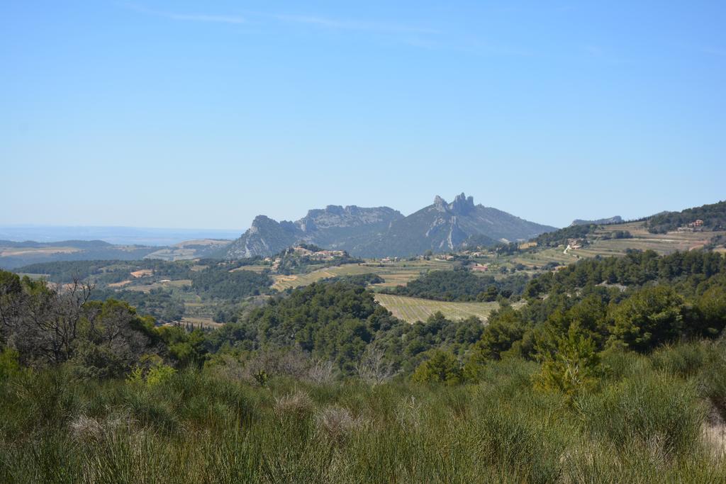 Mas De Carabelle Bed & Breakfast La Roque-Alric Dış mekan fotoğraf
