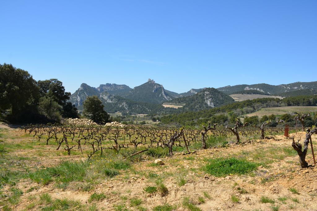 Mas De Carabelle Bed & Breakfast La Roque-Alric Dış mekan fotoğraf