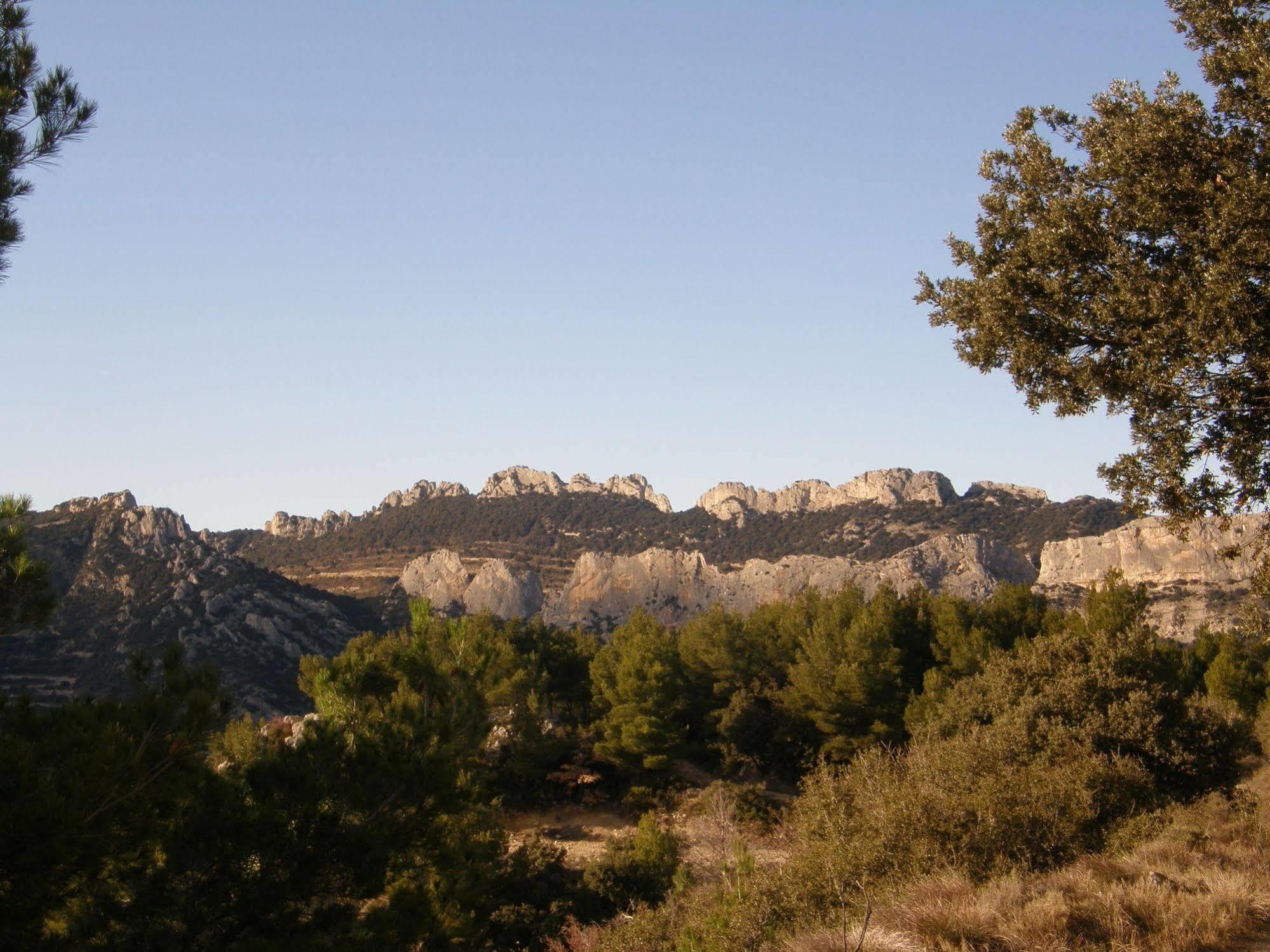 Mas De Carabelle Bed & Breakfast La Roque-Alric Dış mekan fotoğraf